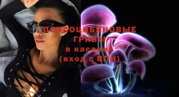 дмт Армянск